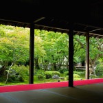 【京都】紅葉が待ち遠しい！庭園がきれいな圓光寺で写真を撮ってきました。