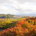 【京都】アサヒビール大山崎山荘美術館に行ってきました。